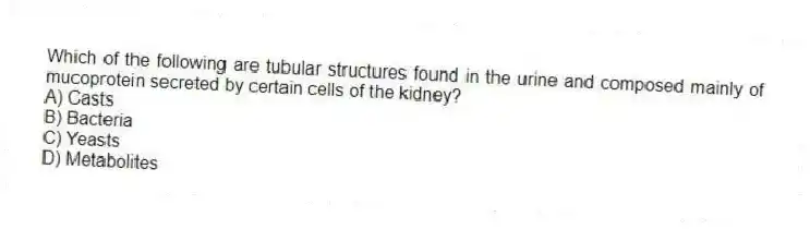 Which of the following are tubular structures found in the urine and composed mainly of mucoprotein secreted by certain cells of the kidney?
A) Casts
B) Bacteria
C) Yeasts
D) Metabolites