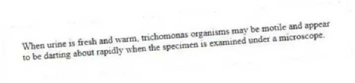 When urine is fresh and warm, trichomonas organisms may be motile and appear to be darting about rapidly when the specimen is examined under a microscope.