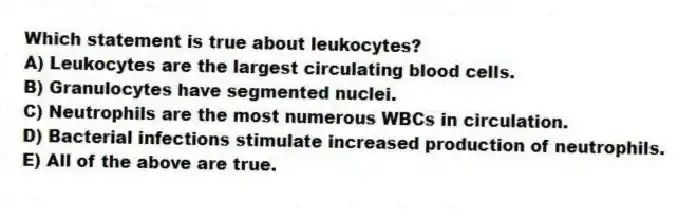 Which statement is true about leukocytes?
A) Leukocytes are the largest circulating blood cells.
B) Granulocytes have segmented nuclei.
C) Neutrophils are the most numerous WBCs in circulation.
D) Bacterial infections stimulate increased production of neutrophils.
E) All of the above are true.