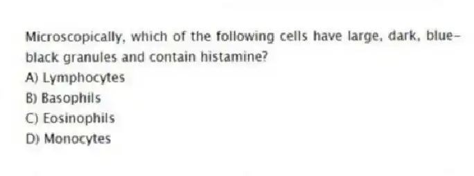 Microscopically, which of the following cells have large, dark, blue-black granules and contain histamine?
A) Lymphocytes
B) Basophils
C) Eosinophils
D) Monocytes