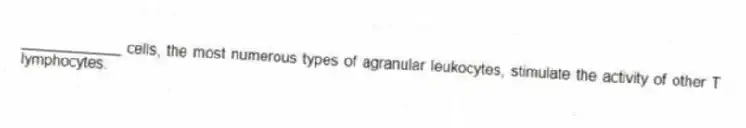 ____________ cells, the most numerous types of agranular leukocytes, stimulate the activity of other T lymphocytes.
