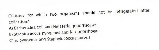 Cultures for which two organisms should not be refrigerated after collection?
A) Escherichia coli and Neisseria gonorrhoeae
B) Streptococcus pyogenes and N. gonorrhoeae
C) S. pyogenes and Staphylococcus aureus