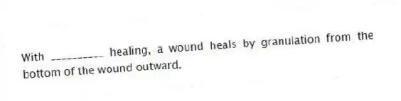 With __________ healing, a wound heals by granulation from the bottom of the wound outward.