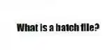 What is a batch file?