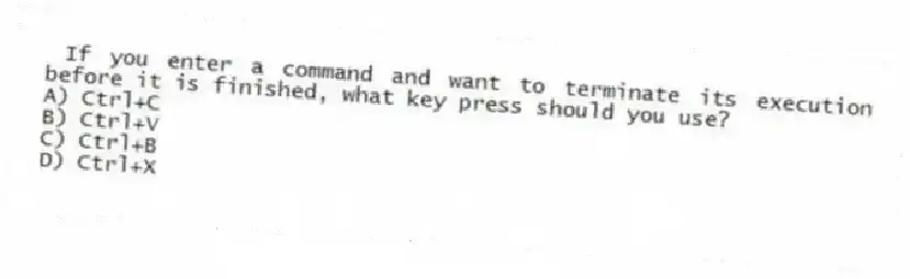 If you enter a command and want to terminate its execution before it is finished, what key press should you use?
A) Ctrl+C
B) Ctrl+V
C) Ctrl+B
D) Ctrl+X