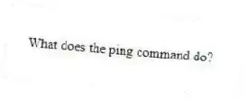 What does the ping command do?