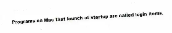 Programs on Mac that launch at startup are called login items.