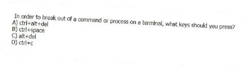 In order to break out of a command or process on a terminal, what keys should you press?
A) ctrl+alt+del
B) ctrl+space
C) alt+del
D) ctrl+c