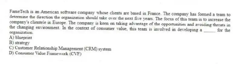 FameTech is an American software company whose clients are based in France. The company has formed a team to determine the direction the organization should take over the next five years. The focus of this team is to increase the company's clientele in Europe. The company is keen on taking advantage of the opportunities and avoiding threats in the changing environment. In the context of consumer value, this team is involved in developing a _____ for the organization.
A) blueprint
B) strategy
C) Customer Relationship Management (CRM) system
D) Consumer Value Framework (CVF)