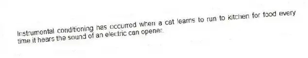 Instrumental conditioning has occurred when a cat learns to run to kitchen for food every time it hears the sound of an electric can opener.