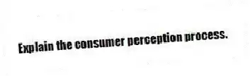 Explain the consumer perception process.