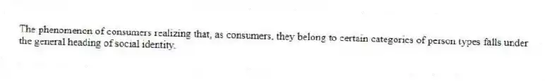 The phenomenon of consumers realizing that, as consumers, they belong to certain categories of person types falls under the general heading of social identity.