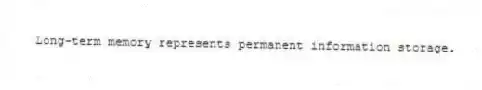 Long-term memory represents permanent information storage.