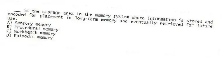_____ is the storage area in the memory system where information is stored and encoded for placement in long-term memory and eventually retrieved for future use.
A) Sensory memory
B) Procedural memory
C) Workbench memory
D) Episodic memory