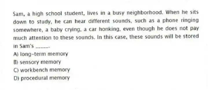 Sam, a high school student, lives in a busy neighborhood. When he sits down to study, he can hear different sounds, such as a phone ringing somewhere, a baby crying, a car honking, even though he does not pay much attention to these sounds. In this case, these sounds will be stored in Sam's _____.
A) long-term memory
B) sensory memory
C) workbench memory
D) procedural memory