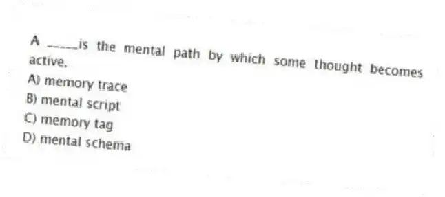 A _____is the mental path by which some thought becomes active.
A) memory trace
B) mental script
C) memory tag
D) mental schema