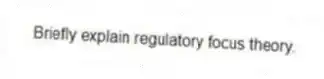 Briefly explain regulatory focus theory.