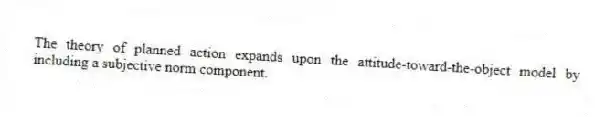 The theory of planned action expands upon the attitude-toward-the-object model by including a subjective norm component.