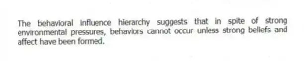 The behavioral influence hierarchy suggests that in spite of strong environmental pressures, behaviors cannot occur unless strong beliefs and affect have been formed.