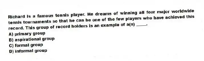 Richard is a famous tennis player. He dreams of winning all four major worldwide tennis tournaments so that he can be one of the few players who have achieved this record. This group of record holders is an example of a(n) _____.
A) primary group
B) aspirational group
C) formal group
D) informal group