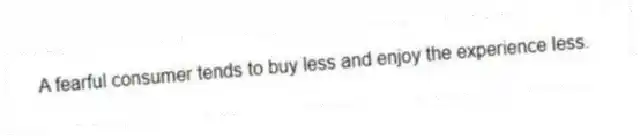 A fearful consumer tends to buy less and enjoy the experience less.