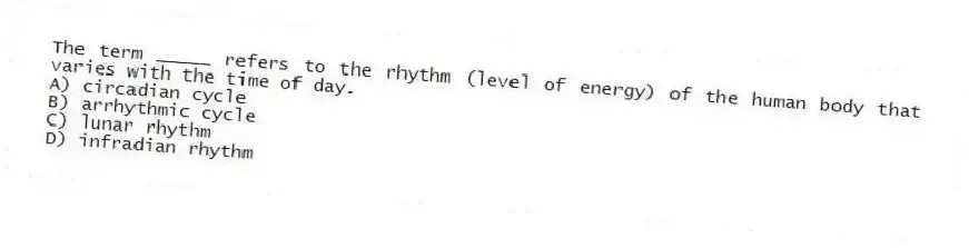 The term _____ refers to the rhythm (level of energy) of the human body that varies with the time of day.
A) circadian cycle
B) arrhythmic cycle
C) lunar rhythm
D) infradian rhythm