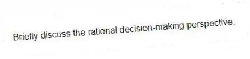 Briefly discuss the rational decision-making perspective.