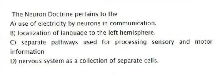 The Neuron Doctrine pertains to the
A) use of electricity by neurons in communication.
B) localization of language to the left hemisphere.
C) separate pathways used for processing sensory and motor information
D) nervous system as a collection of separate cells.