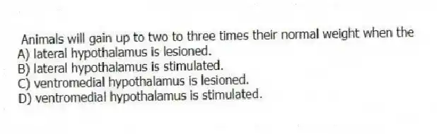Animals will gain up to two to three times their normal weight when the
A) lateral hypothalamus is lesioned.
B) lateral hypothalamus is stimulated.
C) ventromedial hypothalamus is lesioned.
D) ventromedial hypothalamus is stimulated.