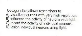 Optogenetics allows researchers to
A) visualize neurons with very high resolution.
B) influence the activity of neurons with light.
C) record the activity of individual neurons.
D) lesion individual neurons using light.