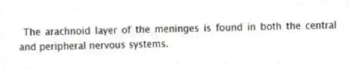 The arachnoid layer of the meninges is found in both the central and peripheral nervous systems.