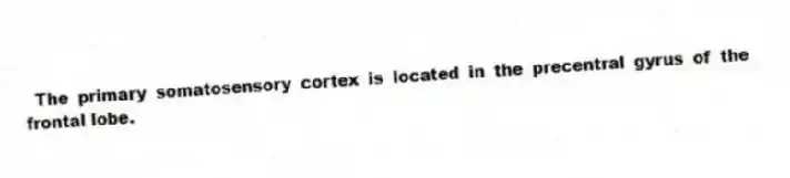 The primary somatosensory cortex is located in the precentral gyrus of the frontal lobe.