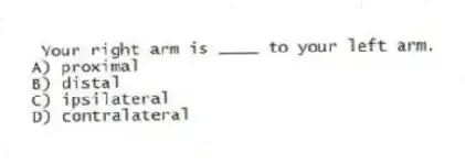 Your right arm is ____ to your left arm.
A) proximal
B) distal
C) ipsilateral
D) contralateral