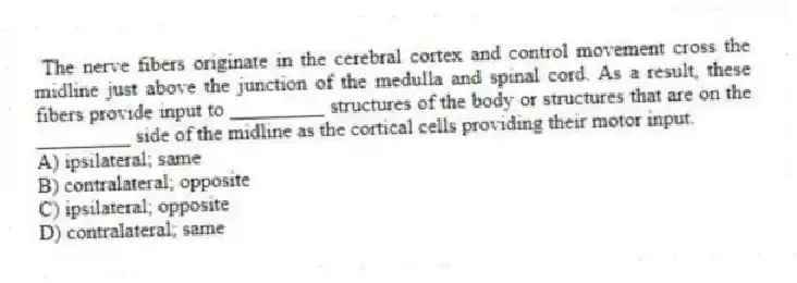 The nerve fibers originate in the cerebral cortex and control movement cross the midline just above the junction of the medulla and spinal cord. As a result, these fibers provide input to _________ structures of the body or structures that are on the _________ side of the midline as the cortical cells providing their motor input.
A) ipsilateral; same
B) contralateral; opposite
C) ipsilateral; opposite
D) contralateral; same