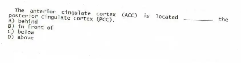 The anterior cingulate cortex (ACC) is located _________ the posterior cingulate cortex (PCC).
A) behind
B) in front of
C) below
D) above