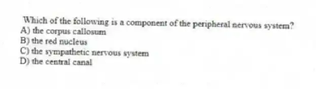 Which of the following is a component of the peripheral nervous system?
A) the corpus callosum
B) the red nucleus
C) the sympathetic nervous system
D) the central canal