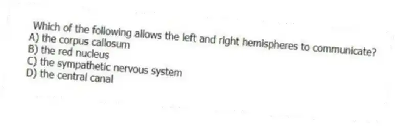 Which of the following allows the left and right hemispheres to communicate?
A) the corpus callosum
B) the red nucleus
C) the sympathetic nervous system
D) the central canal