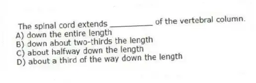The spinal cord extends _________ of the vertebral column.
A) down the entire length
B) down about two-thirds the length
C) about halfway down the length
D) about a third of the way down the length