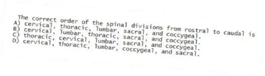 The correct order of the spinal divisions from rostral to caudal is
A) cervical, thoracic, lumbar, sacral, and coccygeal.
B) cervical, lumbar, thoracic, sacral, and coccygeal.
C) thoracic, cervical, lumbar, sacral, and coccygeal.
D) cervical, thoracic, lumbar, coccygeal, and sacral.