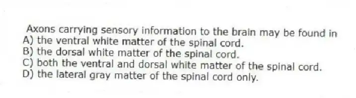 Axons carrying sensory information to the brain may be found in
A) the ventral white matter of the spinal cord.
B) the dorsal white matter of the spinal cord.
C) both the ventral and dorsal white matter of the spinal cord.
D) the lateral gray matter of the spinal cord only.