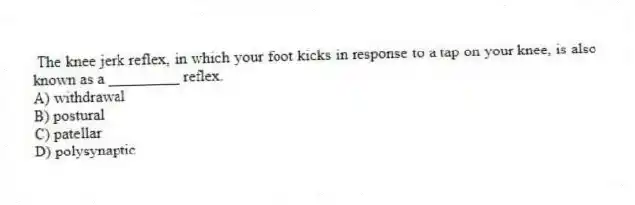 The knee jerk reflex, in which your foot kicks in response to a tap on your knee, is also known as a _________ reflex.
A) withdrawal
B) postural
C) patellar
D) polysynaptic