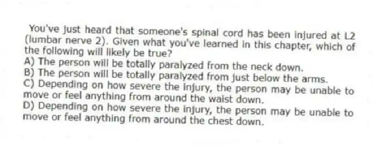 You've just heard that someone's spinal cord has been injured at L2 (lumbar nerve 2). Given what you've learned in this chapter, which of the following will likely be true?
A) The person will be totally paralyzed from the neck down.
B) The person will be totally paralyzed from just below the arms.
C) Depending on how severe the injury, the person may be unable to move or feel anything from around the waist down.
D) Depending on how severe the injury, the person may be unable to move or feel anything from around the chest down.