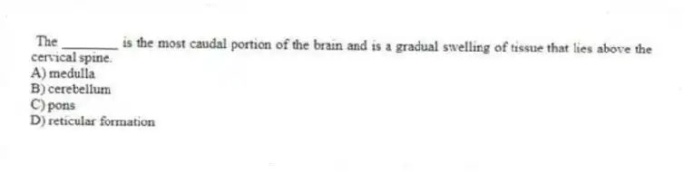 The ________ is the most caudal portion of the brain and is a gradual swelling of tissue that lies above the cervical spine.
A) medulla
B) cerebellum
C) pons
D) reticular formation
