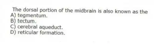 The dorsal portion of the midbrain is also known as the
A) tegmentum.
B) tectum.
C) cerebral aqueduct.
D) reticular formation.