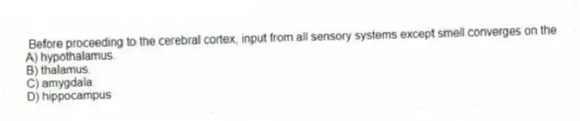Before proceeding to the cerebral cortex, input from all sensory systems except smell converges on the
A) hypothalamus.
B) thalamus.
C) amygdala.
D) hippocampus