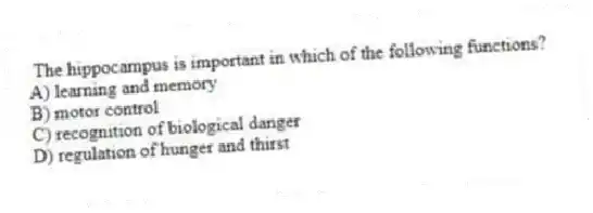 The hippocampus is important in which of the following functions?
A) learning and memory
B) motor control
C) recognition of biological danger
D) regulation of hunger and thirst