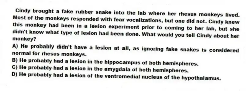 Cindy brought a fake rubber snake into the lab where her rhesus monkeys lived. Most of the monkeys responded with fear vocalizations, but one did not. Cindy knew this monkey had been in a lesion experiment prior to coming to her lab, but she didn't know what type of lesion had been done. What would you tell Cindy about her monkey?
A) He probably didn't have a lesion at all, as ignoring fake snakes is considered normal for rhesus monkeys.
B) He probably had a lesion in the hippocampus of both hemispheres.
C) He probably had a lesion in the amygdala of both hemispheres.
D) He probably had a lesion of the ventromedial nucleus of the hypothalamus.