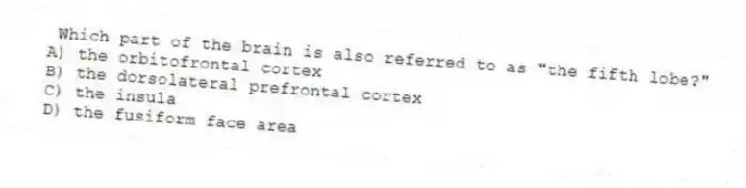 Which part of the brain is also referred to as "the fifth lobe?"
A) the orbitofrontal cortex
B) the dorsolateral prefrontal cortex
C) the insula
D) the fusiform face area