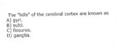 The "hills" of the cerebral cortex are known as
A) gyri.
B) sulci.
C) fissures.
D) ganglia.