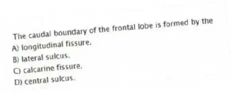 The caudal boundary of the frontal lobe is formed by the
A) longitudinal fissure.
B) lateral sulcus.
C) calcarine fissure.
D) central sulcus.